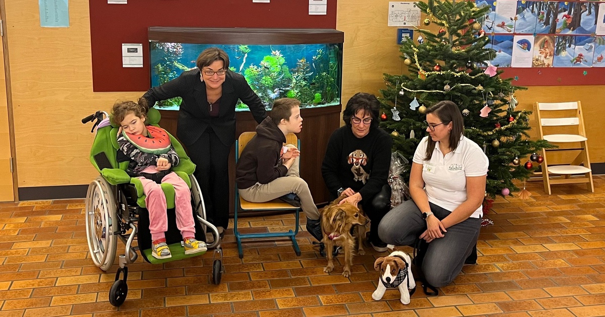 Richtiges Verhalten im Umgang mit Hunden: Land K&auml;rnten bietet Workshops f&uuml;r Volksschulen
