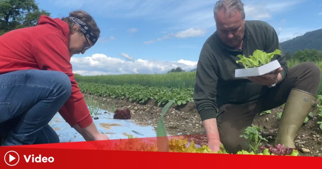 1. Juni ist „Welttag der Bauern“