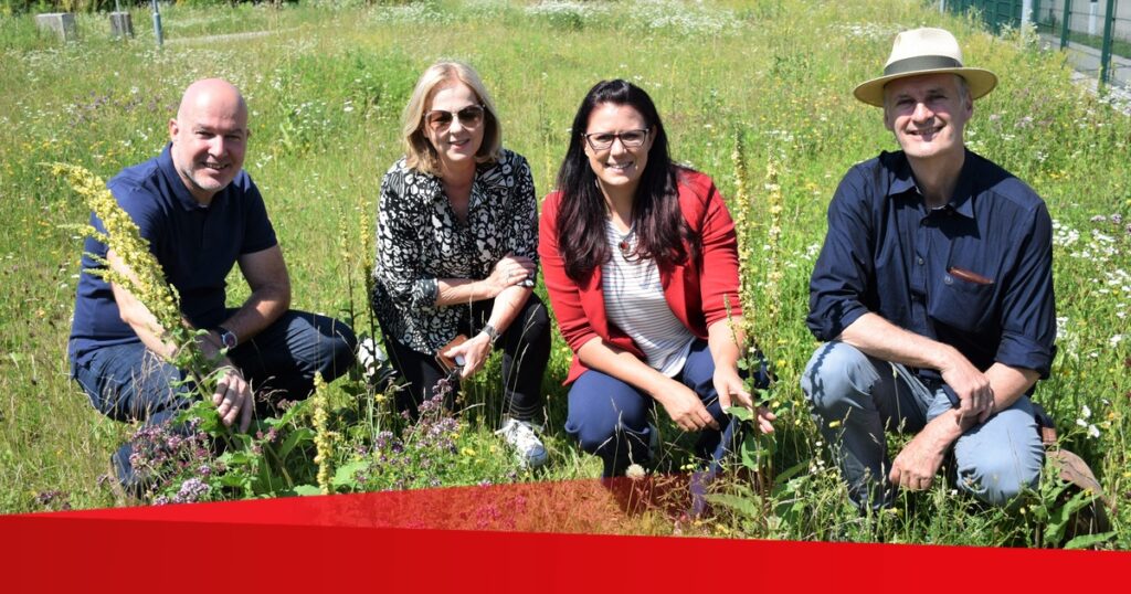 „Blumenwiesen Kärnten“: Das Messe-Gelände blüht auf