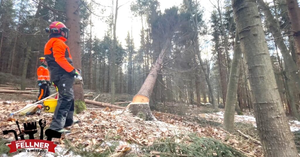 Waldluft statt Bürokluft!