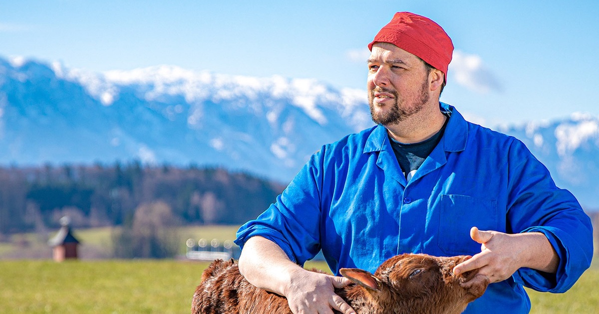 Gold und Dreifach-Platin: Der Hons, der konn&rsquo;s!