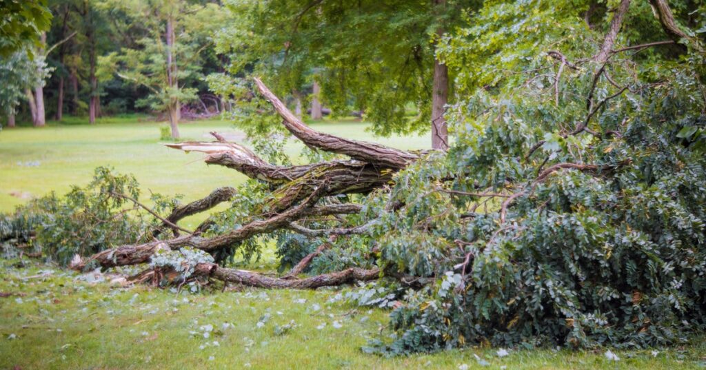 2,9 Millionene Euro für mehr Sicherheit vor Naturgefahren in Arriach