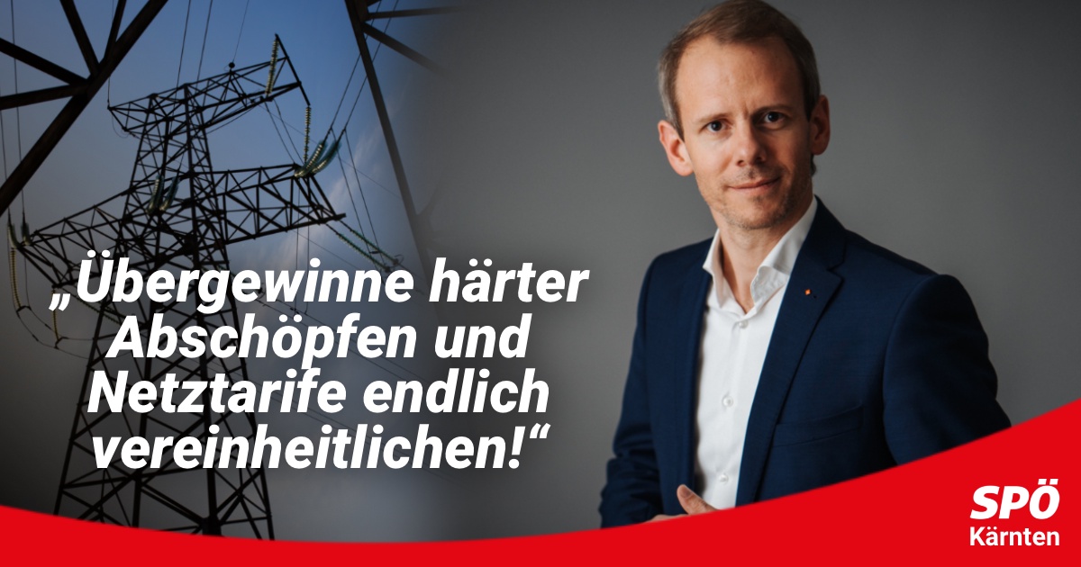 &Uuml;bergewinne von Energieunternehmen h&auml;rter absch&ouml;pfen und Netztarife endlich vereinheitlichen!