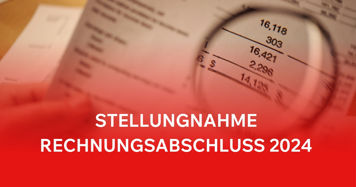 Stellungnahme Rechnungsabschluss 2024