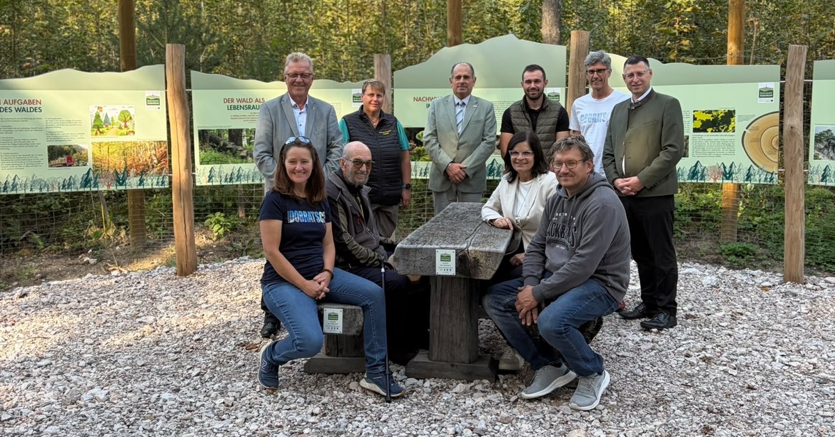 Wald der Zukunft: Neuer Schauwald in N&ouml;tsch macht Klimaanpassung erlebbar